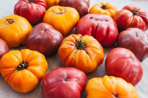 Flat lay of fresh yellow and red reipened heirloom tomatoes on white background. Fresh vegetables. Healthy nutrition concept. Organic food photo