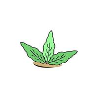 ilustración de diseño de vector de icono de elemento de planta ornamental