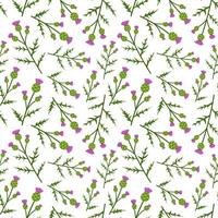 Seamless pattern with Thistle on white background vector
