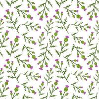 Seamless pattern with Thistle on white background vector