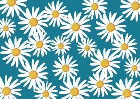 daisy flower floral pattern background vector