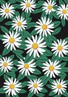 daisy flower floral pattern background vector