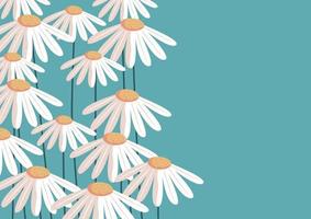 daisy flower floral pattern background vector