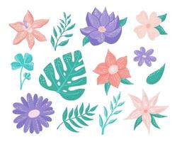 Collection of vector flowers and plants. Set of decorative floral design elements for the design of postcards, invitations