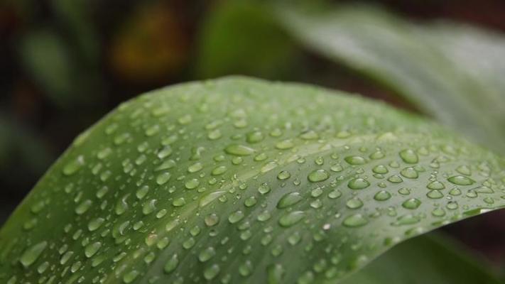 雨滴影片