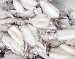 Fresh Shellfish in the tray with ice cube. photo