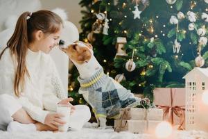 Lovely girl with pony tail, keeps noses together with favourite pet, drinks fresh milk from glass, sits crossed legs on floor with Christmas tree and present boxes around. Last preparations. photo