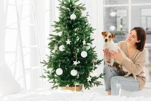 Smiling woman embraces pet with love, has happy mood, pose together near beautiful decorated Christmas tree, white walls, ladder and window around, spend time at home. Winter time, holidays. photo