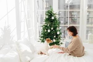 People, animals, relationships, winter holidays concept. Pleased woman holds paw of jack russell terrier dog, sit together in cozy bedroom on bed, decorate New Year tree, anticipate miracle. photo