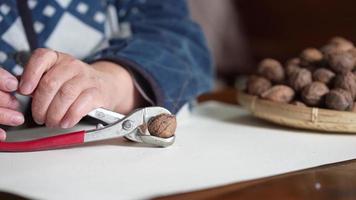 A woman who breaks walnuts with a walnut breaker video