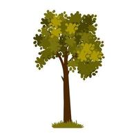 árbol verde de dibujos animados aislado en un fondo blanco. elemento vectorial para el paisaje de primavera o verano. vector