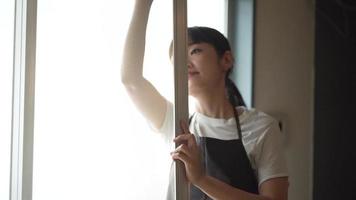 A woman cleaning a screen door video