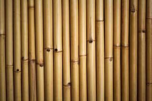cerrar el fondo de bambú foto