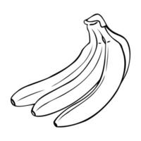 A bunch of ripe bananas, monochrome vector illustration in cartoon style on a white background.