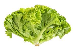 Healthy food salad lettuce isolated on white background close up photo