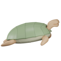 3d turtle illustration with transparent background png