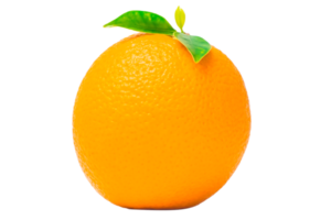 Orange fruit on white background png