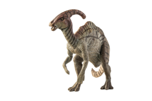 Parasaurolophus-Dinosaurier auf weißem Hintergrund png