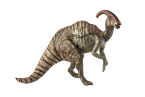 dinosaure parasaurolophus sur fond blanc png