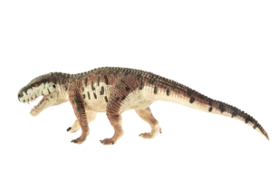 prestosuchus, dinosaurio sobre fondo blanco. png