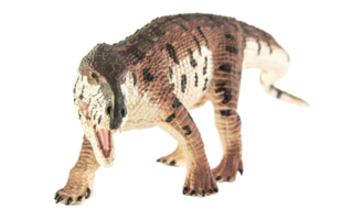 Prestosuchus , dinosaur on white background . png