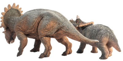 Regaliceratops-Dinosaurier auf weißem Hintergrund png