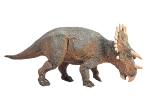 Regaliceratops-Dinosaurier auf weißem Hintergrund. png