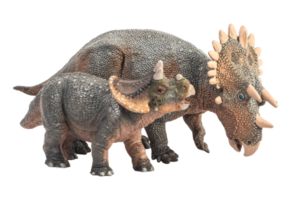 regaliceratops dinosaurus op witte achtergrond png