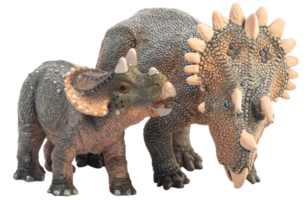 Dinosaure regaliceratops sur fond blanc png