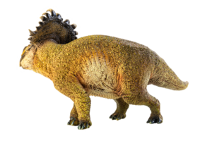 SINOCERATOPS  , dinosaur on white background . png