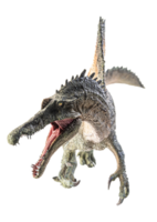 Spinosaurus , dinosaur on white background . png