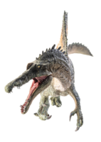 spinosaurus, dinosaurie på vit bakgrund. png