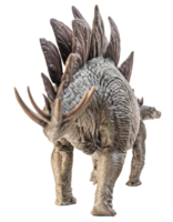 Stegosaurus Dinosaur on white background png