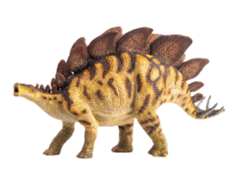 stegosaurus, dinosaure sur fond blanc. png