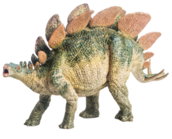 dinossauro, estegossauro em fundo branco png