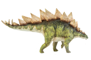 dinosaurio estegosaurio sobre fondo aislado. png