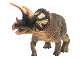 triceratops, dinosaurio sobre fondo blanco. trazado de recorte png