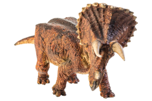 triceratops, dinossauro em fundo branco. caminho de recorte png