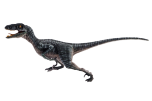 Dinosaurier, Velociraptor auf weißem Hintergrund. png