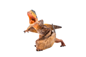 dinosaurio pterodáctilo tupuxuara sobre fondo blanco png