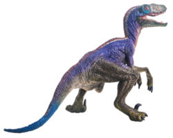 Dinosaurier, Velociraptor auf weißem Hintergrund. png