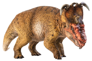 pachyrhinosaurus, dinosaurio sobre fondo blanco. png