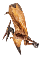 Pteranodon Pterodaktylus Dinosaurier auf weißem Hintergrund png