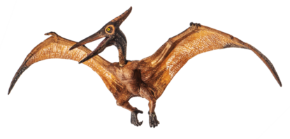 Pteranodon Pterodaktylus Dinosaurier auf weißem Hintergrund png