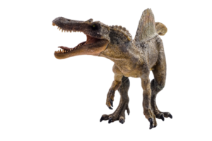 spinosaurus, dinosaure sur fond blanc. png