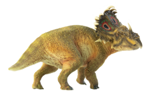 sinoceratops, dinosaure sur fond blanc. png