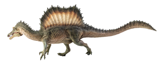 spinosaurus, dinosaure sur fond blanc. png