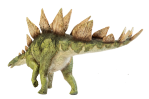 dinosauro stegosauro su sfondo isolato. png