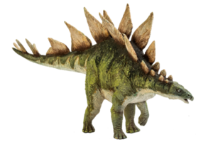 dinosaure stegosaurus sur fond isolé. png