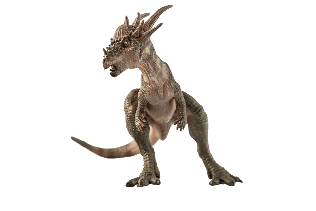 Dinosaur Skeleton PNGs for Free Download
